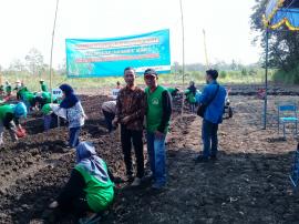 Giat Pertanian Bawang Merah Kelompok Tani Dadi Makmur Dusun Glidag